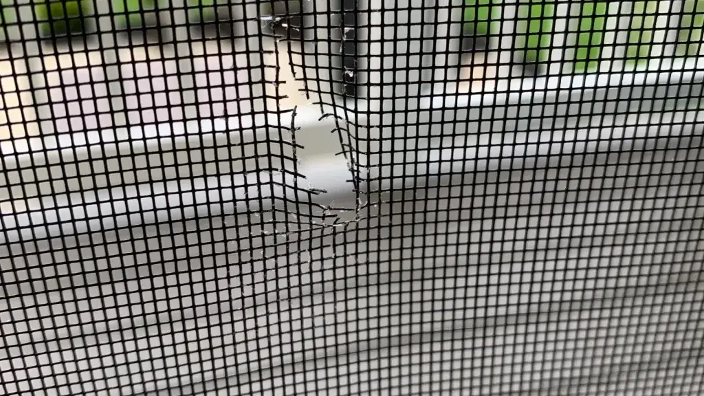 Our Screen Door Repair Process